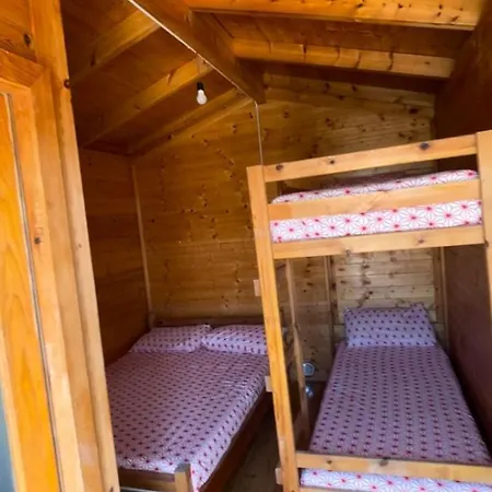 White Complex فيير