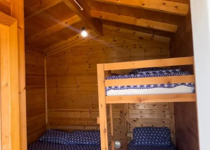 White Complex * Fier